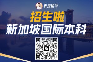 初中毕业直申新加坡本科？2025 通关秘籍大公开！插图