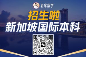 2025 新加坡留学生节日庆典全攻略！老席带你玩转全年文化盛宴插图