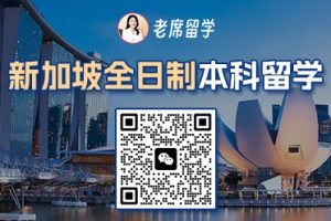 2025 新加坡留学全解析！老席亲测：这里到底是不是你的理想国？插图